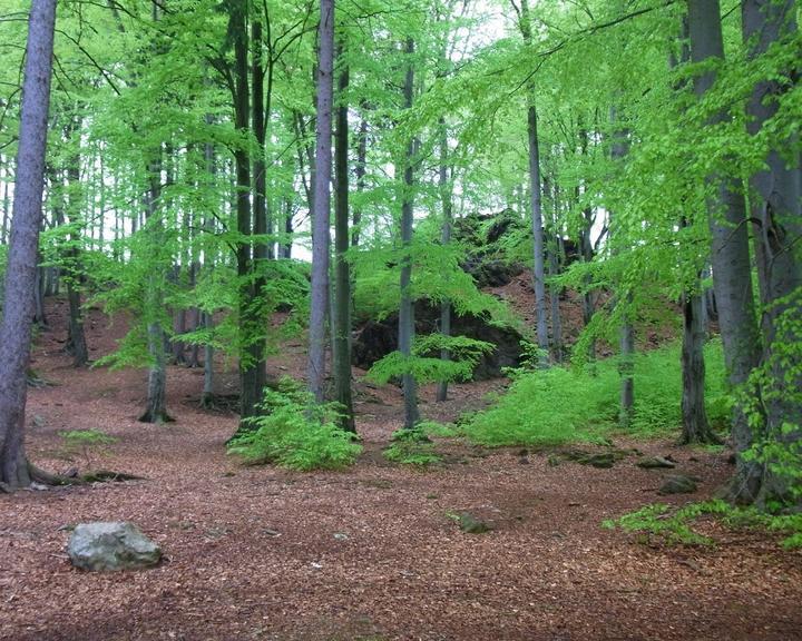 Waldschanke Steinbuschel